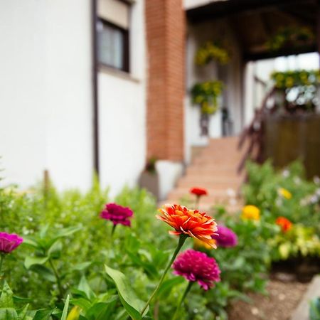 Apartment Sovdat Tolmin Luaran gambar