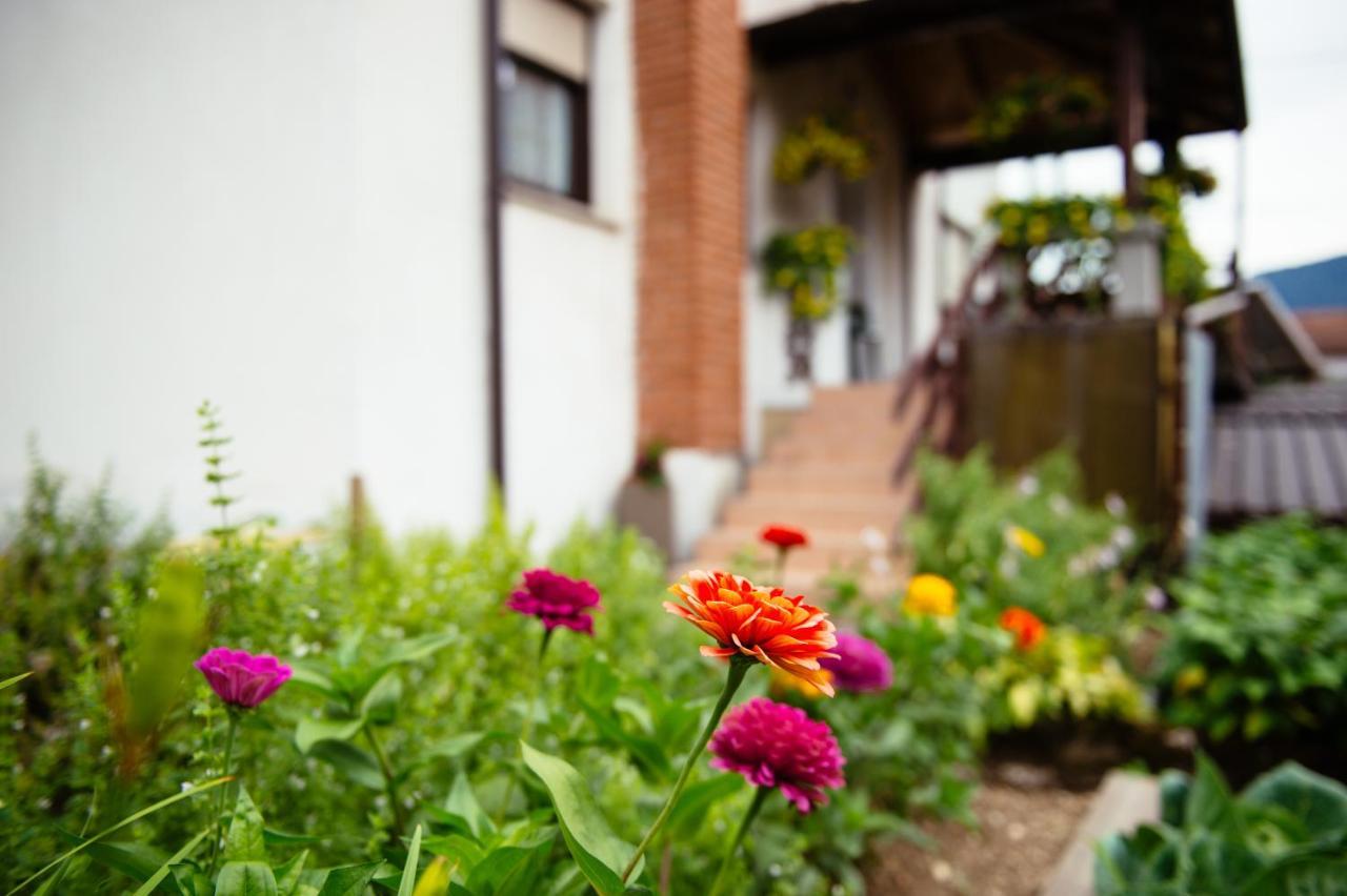 Apartment Sovdat Tolmin Luaran gambar