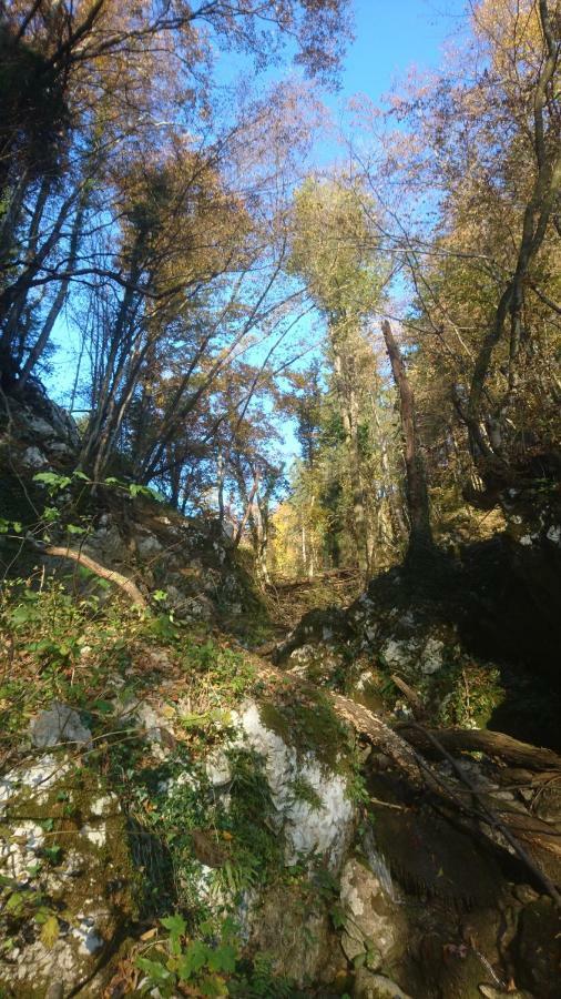 Apartment Sovdat Tolmin Luaran gambar